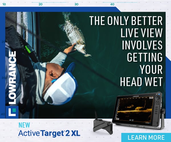 LOW_AT2XL_STATIC_1_1210-UPD_HEADWET_600x500